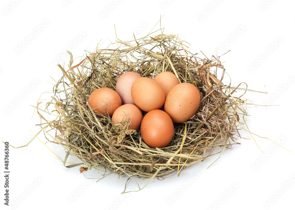 Brown eggs in a nest Brown eggs in a nest