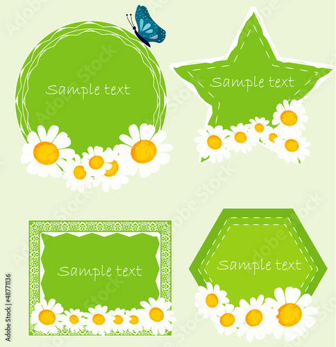 Set banners with camomille. Vector