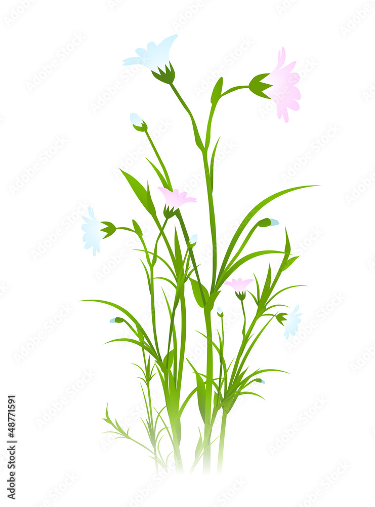 Fototapeta premium Spring Flower