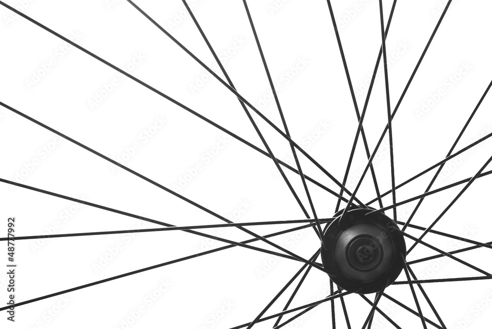 bicycle spoke detail