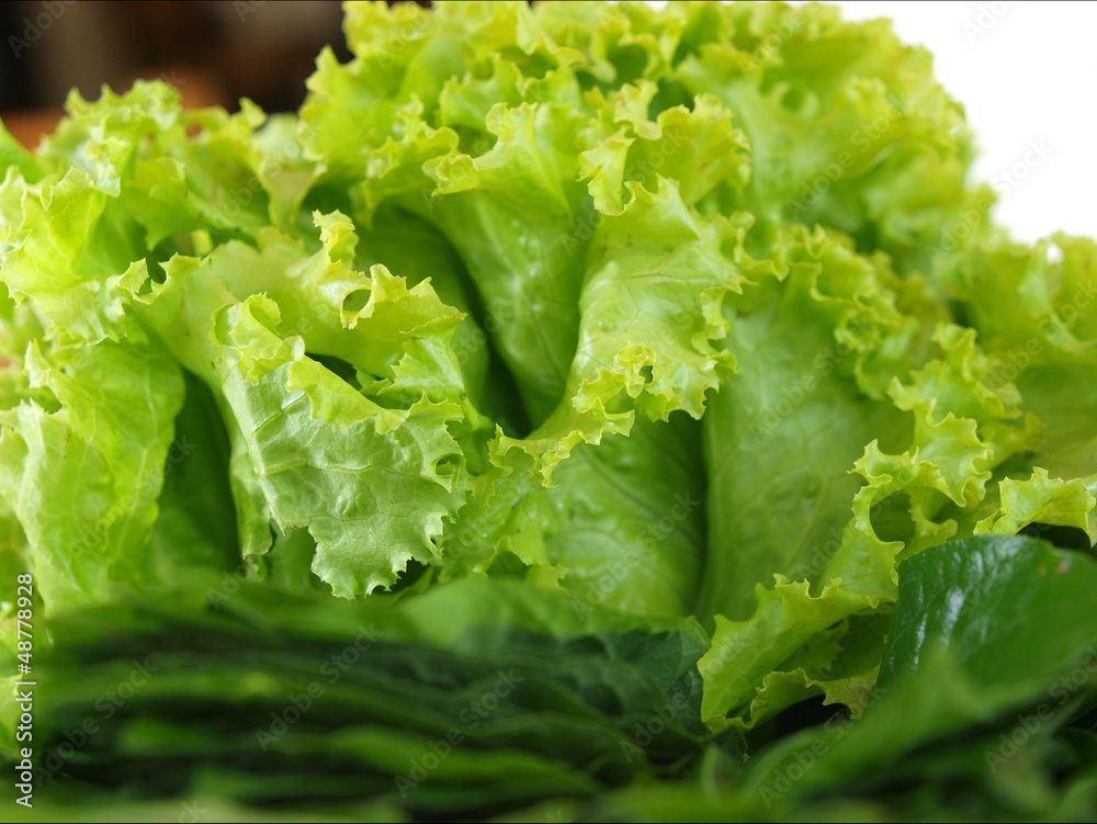 Lettude Lettude