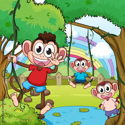 Playing monkeys and a beautiful rainbow