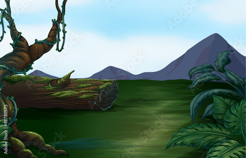 A beautiful landscape and a mountain