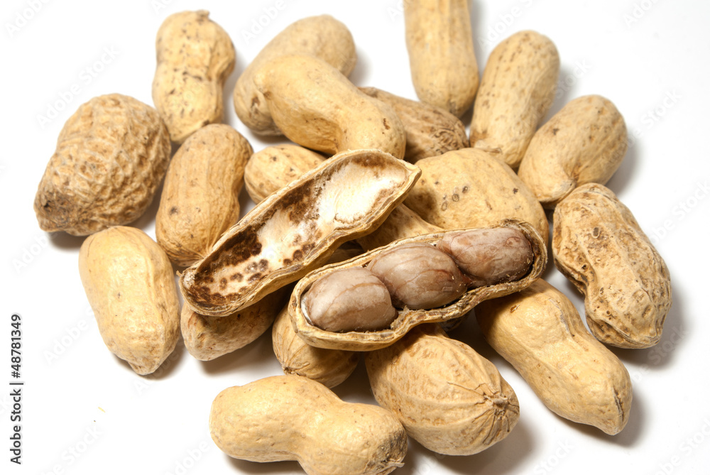 Obraz premium Groundnut