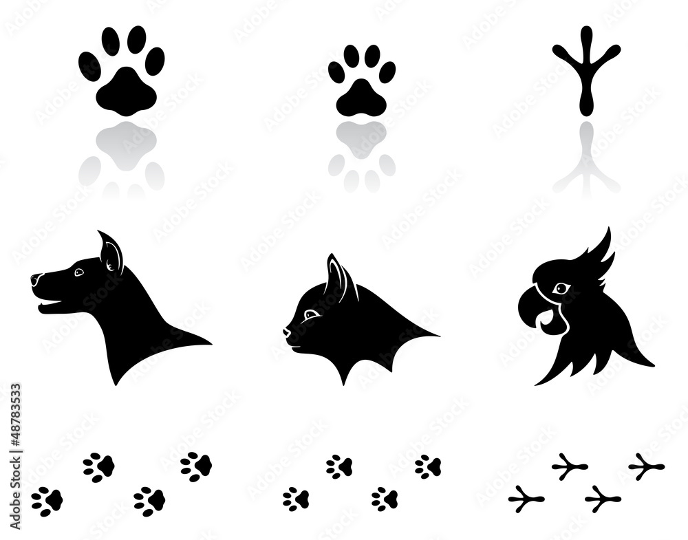 Fototapeta premium Domestic animals