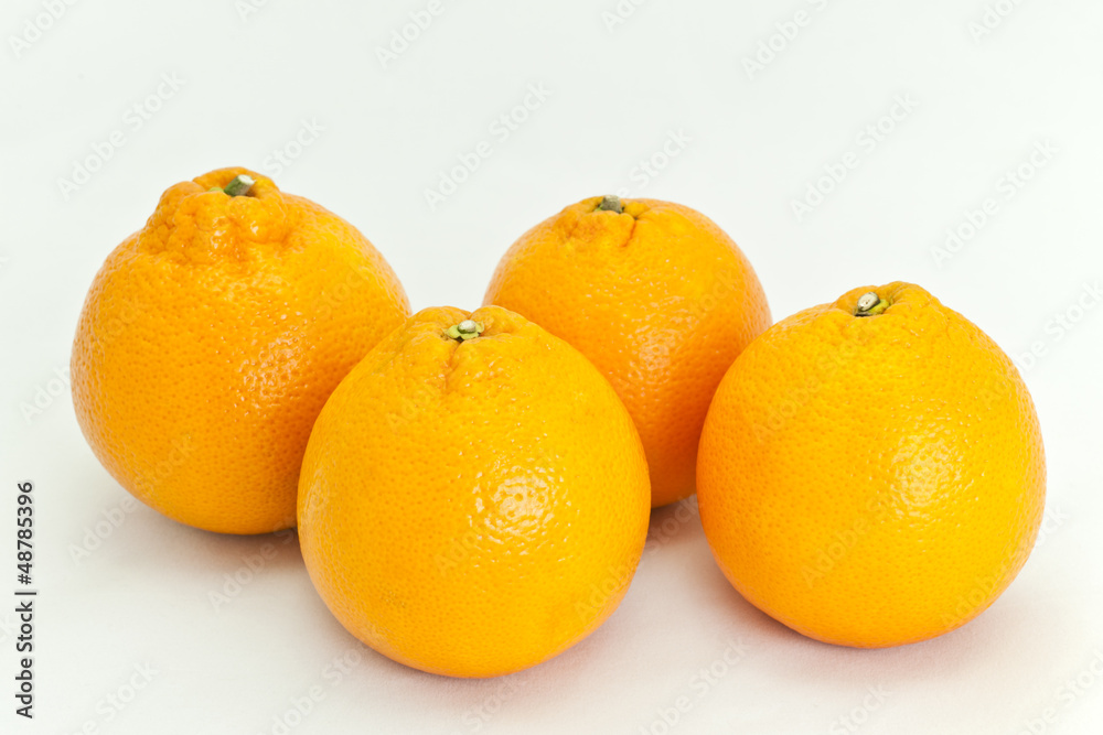 Group of Oranges Group of Oranges