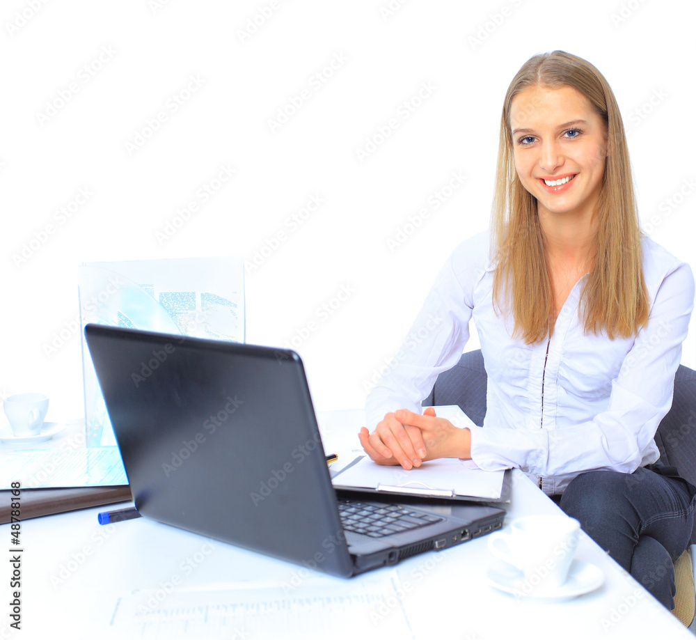 The beautiful business woman with the computer The beautiful business woman with the computer