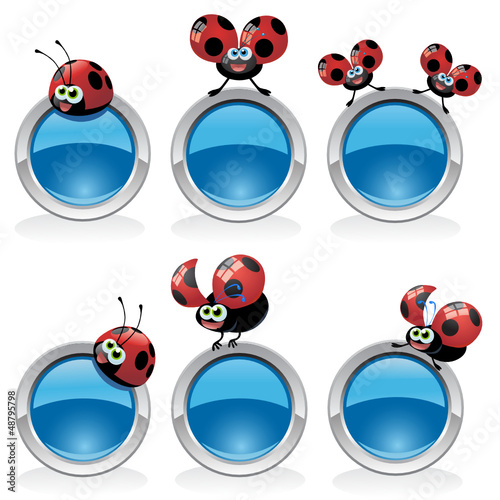 coccinelle bottoni