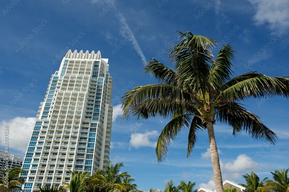 Fototapeta premium miami - Florida