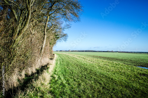 English field bordering on woodland photo