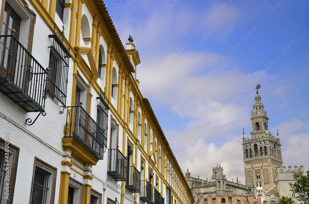 The Giralda of Seville and typical Andalusian houses