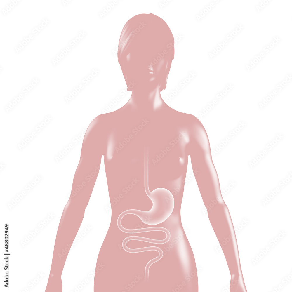 frau-mit-magen-darm-trakt-illustration-silhouette-stock-illustration