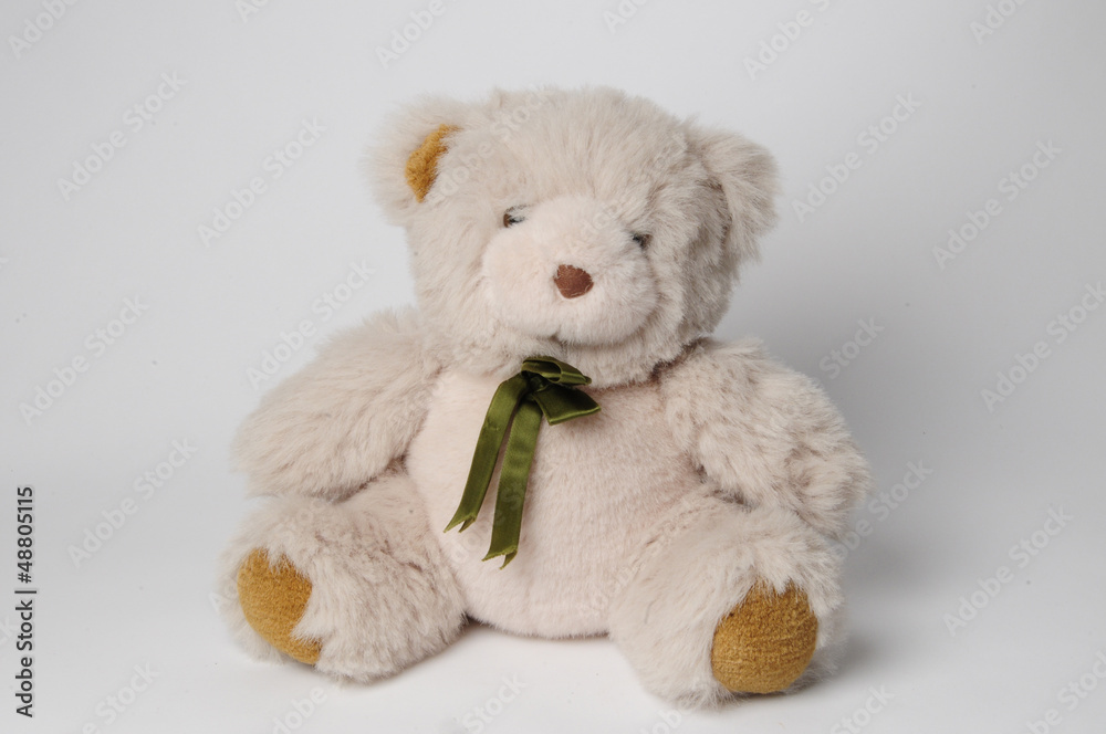 Teddybär Teddybär