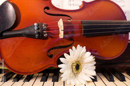 Violin, Piano, and a White Flower