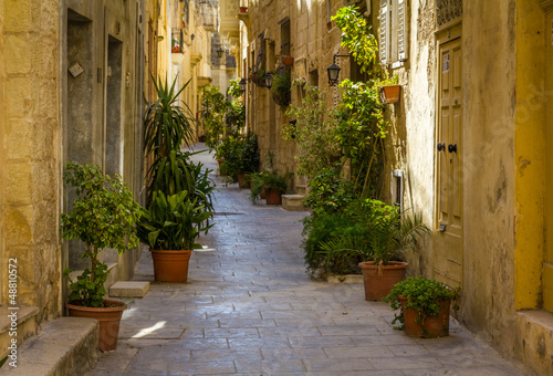 Fototapeta Naklejka Na Ścianę i Meble -  One of the hidden streets in ancient Rabat