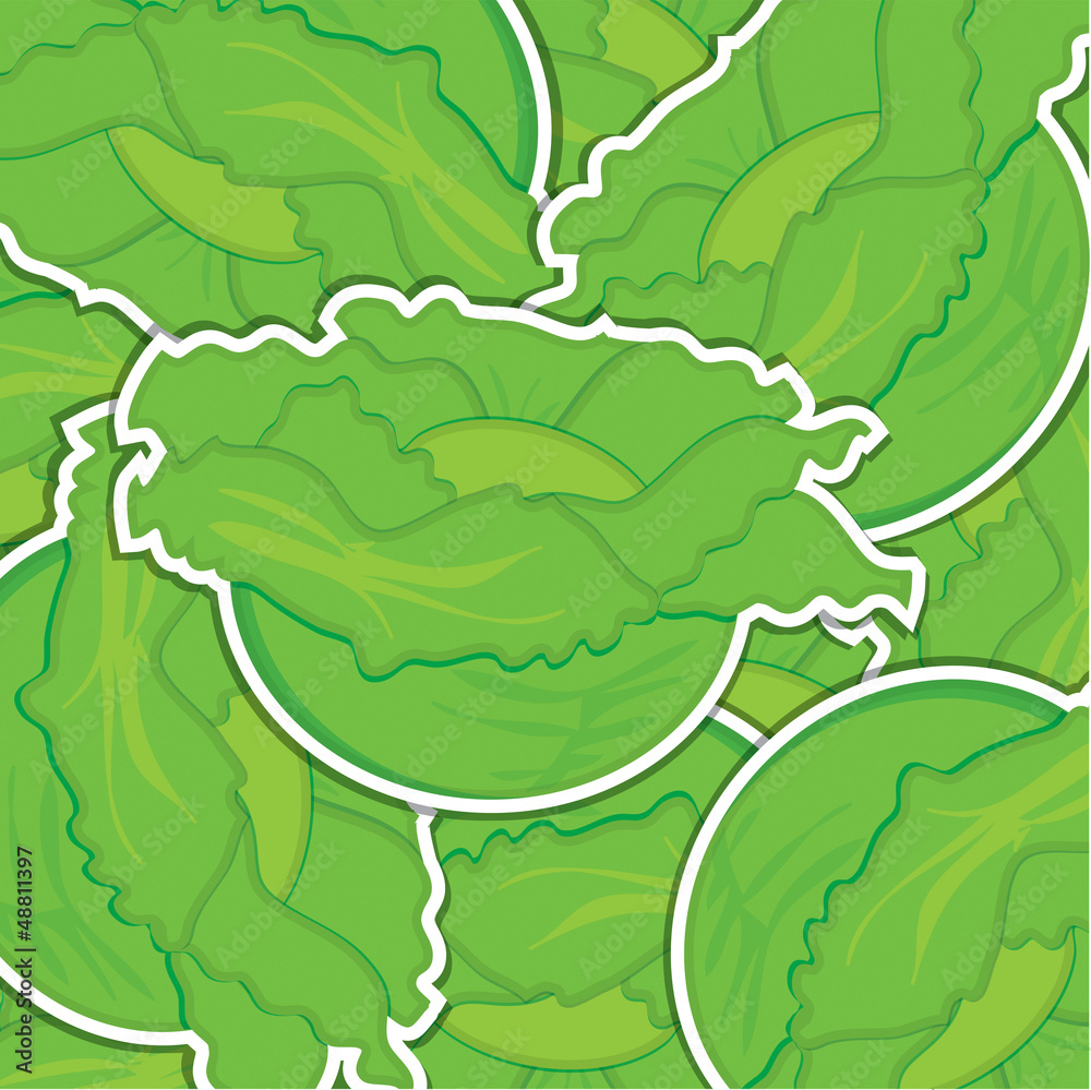 Lettuce background/card in vector format. Lettuce background/card in vector format.