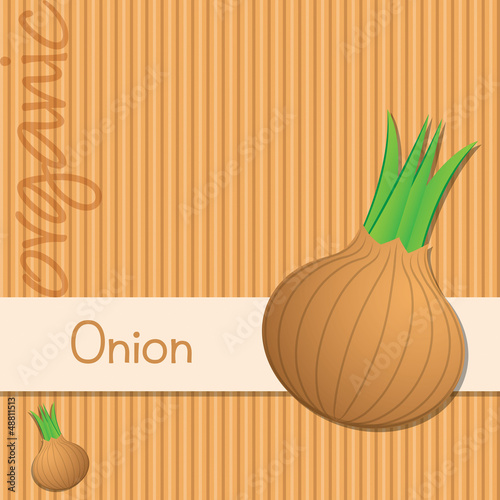Bright organic brown onion card in vector format.