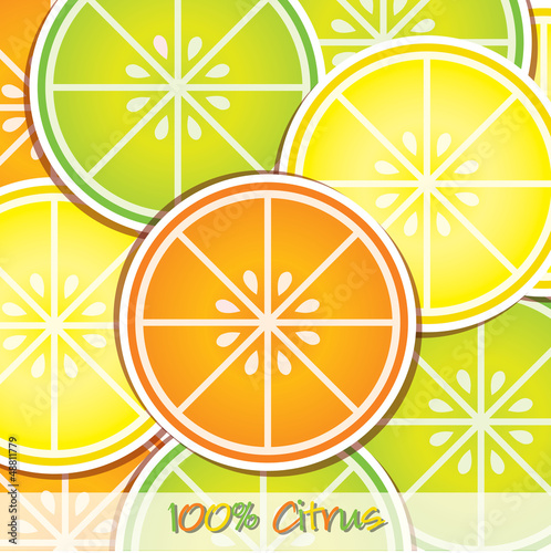 Citrus slice background/card in vector format.