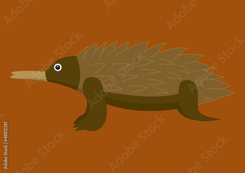 Australian echidna on brown background.