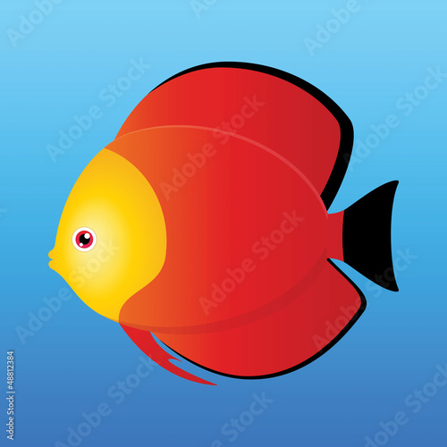 Yellow, black and red monk discus fish