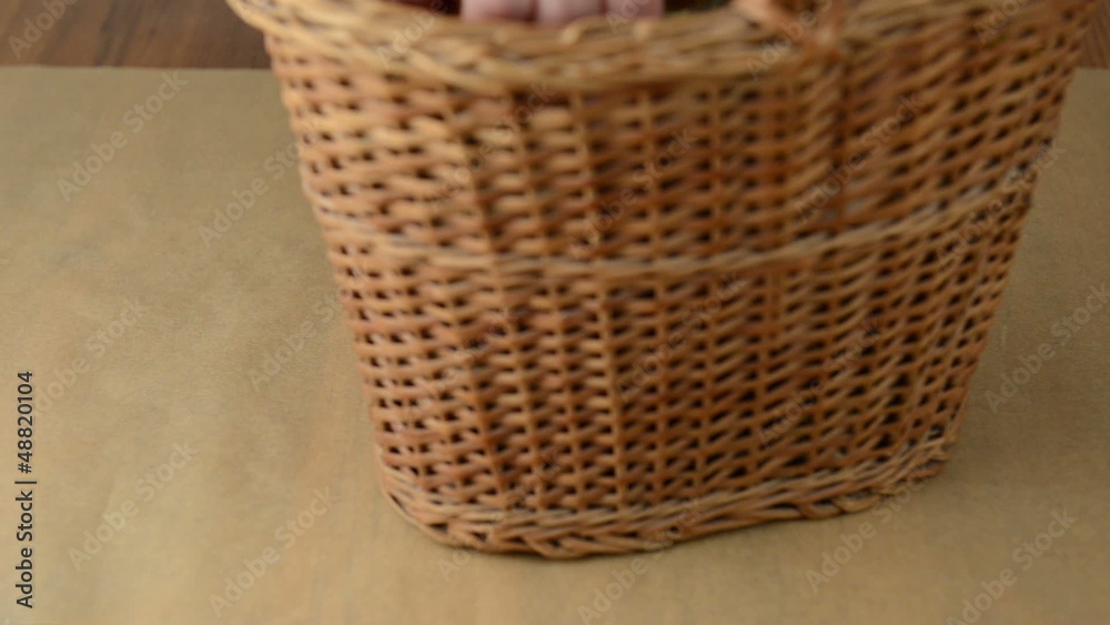 Picking up bay bolete mushrooms out of a basket to clean them.