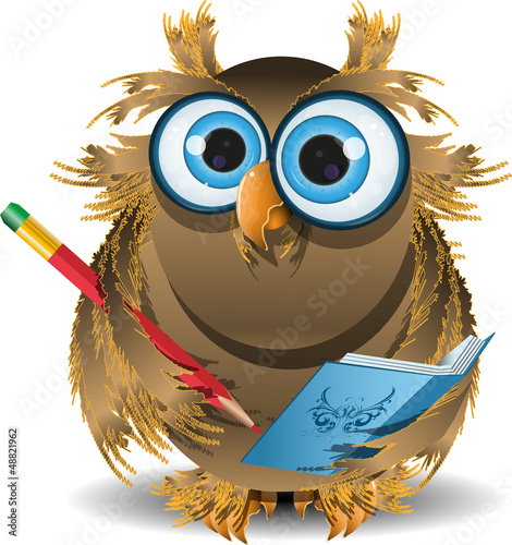 owl secretary