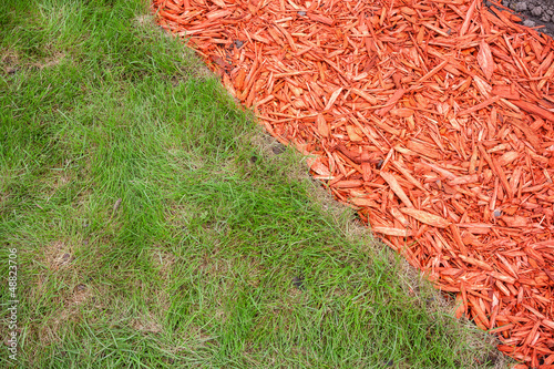 Grass and mulch