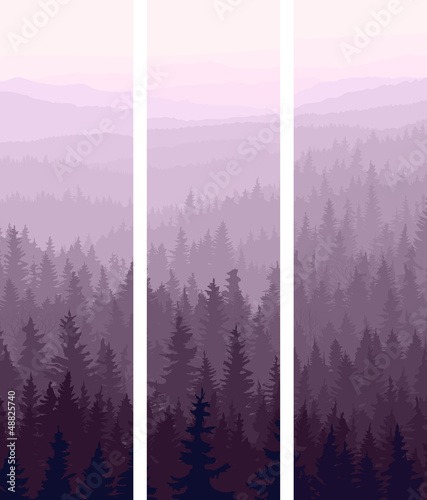 Vertical banners of hills coniferous wood.