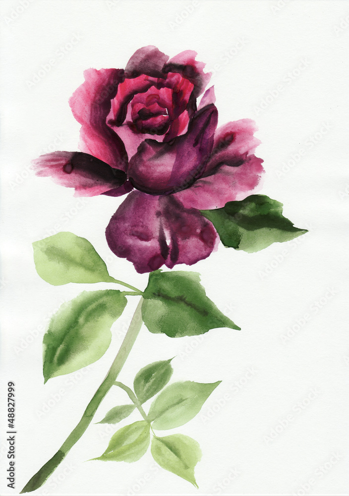 Naklejka premium Lilac rose