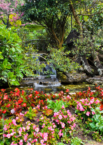 Flowers and waterfall in the garden