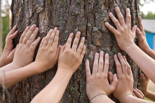It is a lot of hands at a tree