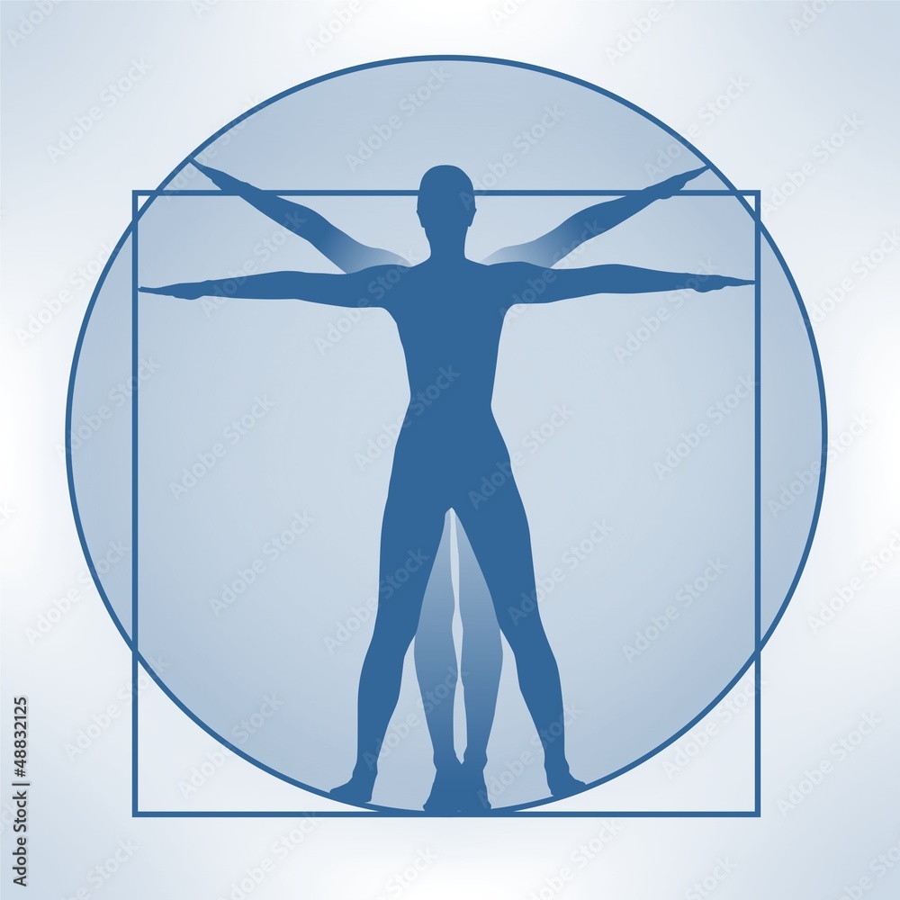 Naklejka premium leonardo 2401a