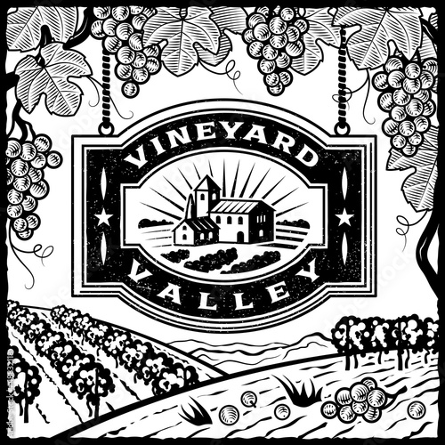 Vineyard Valley black and white