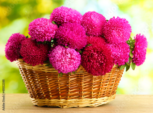 pink aster flowers in basket on green background