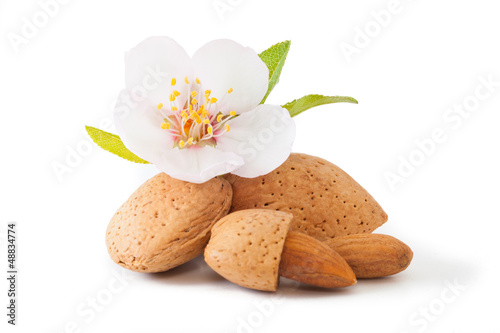 Obraz na płótnie Almond with flower