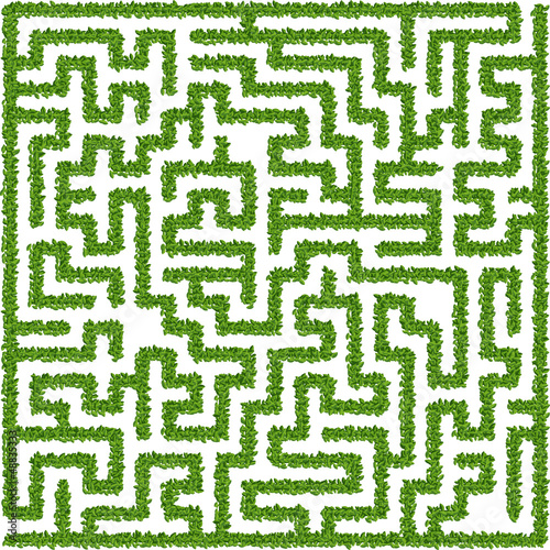 Bushes maze