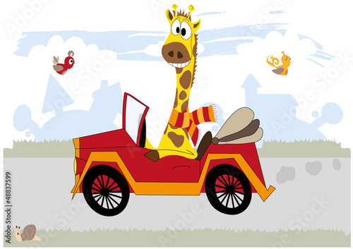 Happy giraffe in the car