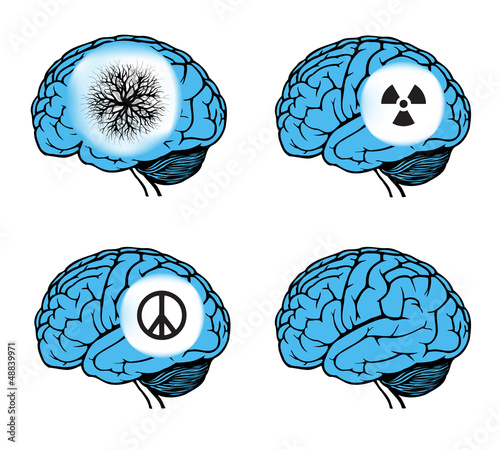 human brain model