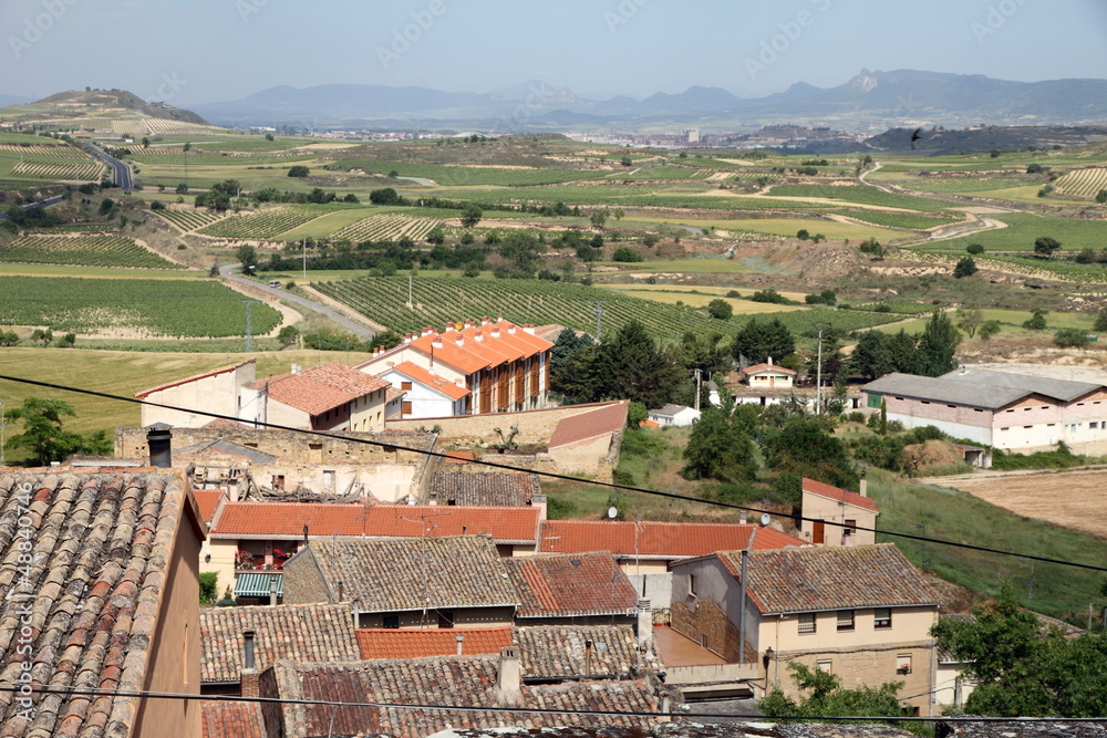 View from Briones village, La Rioja, Spain