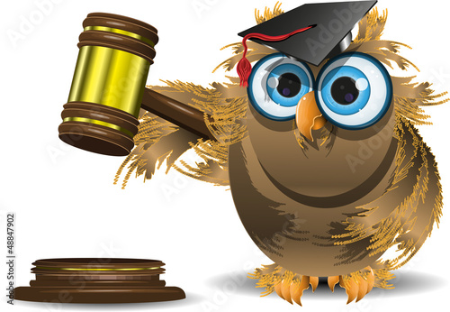 judge owl