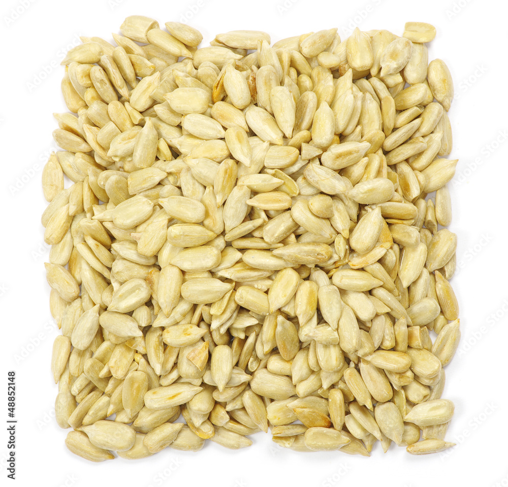 sunflower seeds sunflower seeds