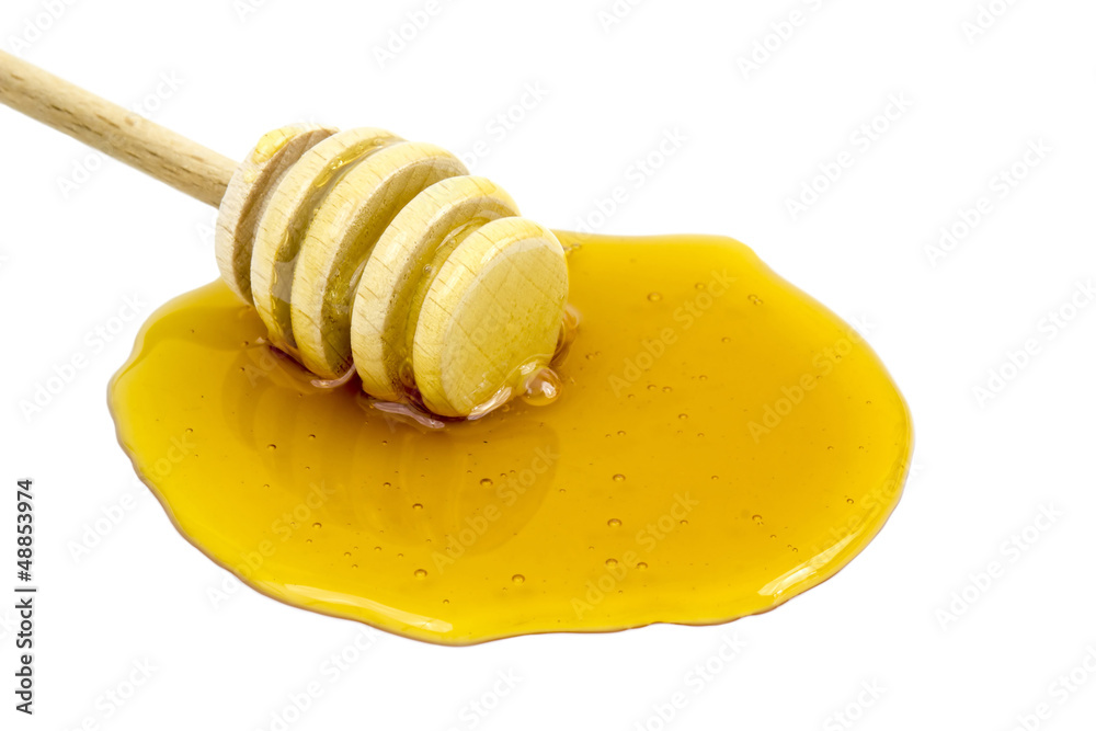 honey with dipper honey with dipper