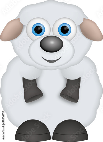 kleines weißes Schaf