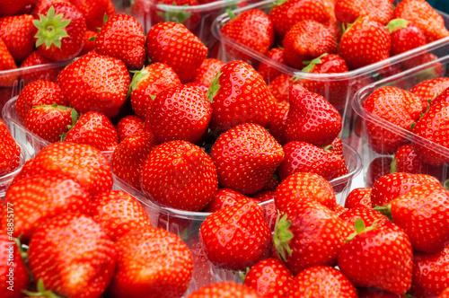 Fresh strawberries for sale in plastic containers