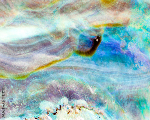 Shiny nacre of Paua or Abalone shell background