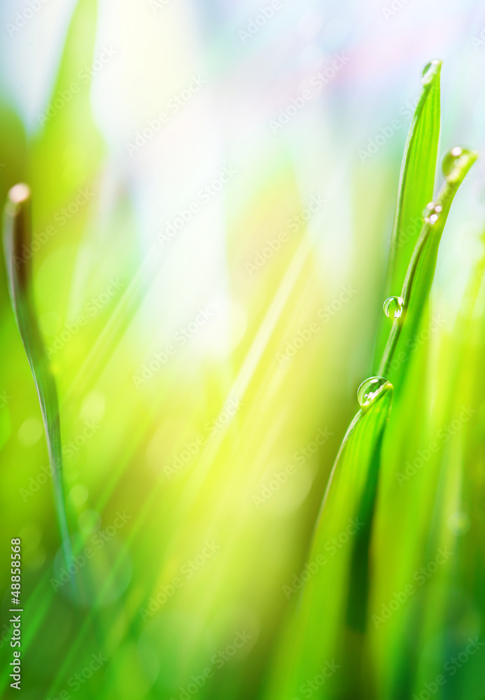 Fototapeta premium art green spring abstract light background