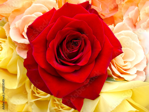 Beautiful bouquet of roses.