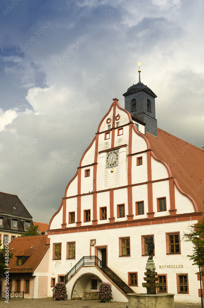 Obraz premium Town Hall of Grimma