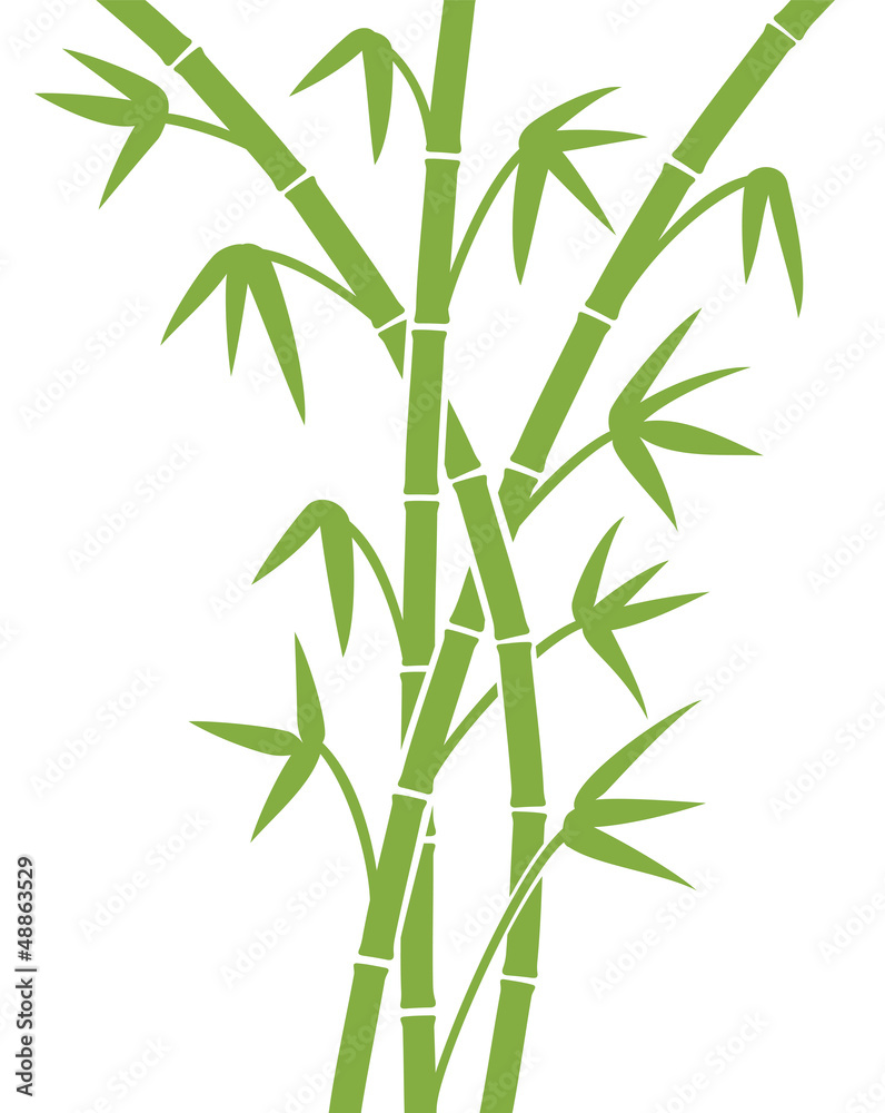 green bamboo stems green bamboo stems