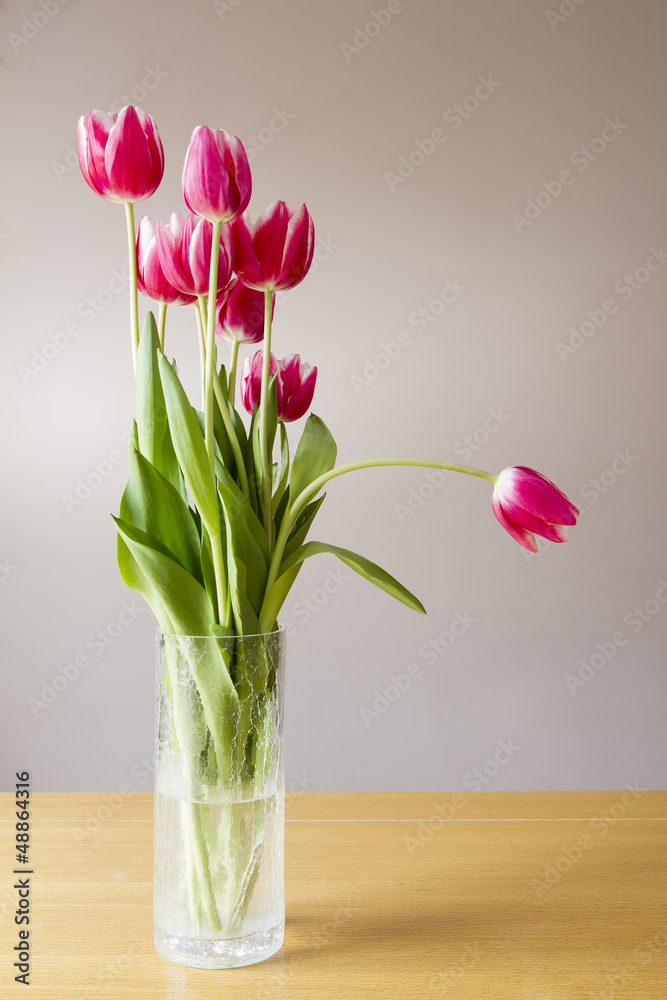 Glass vase with bunch of pink tulips and wall behind